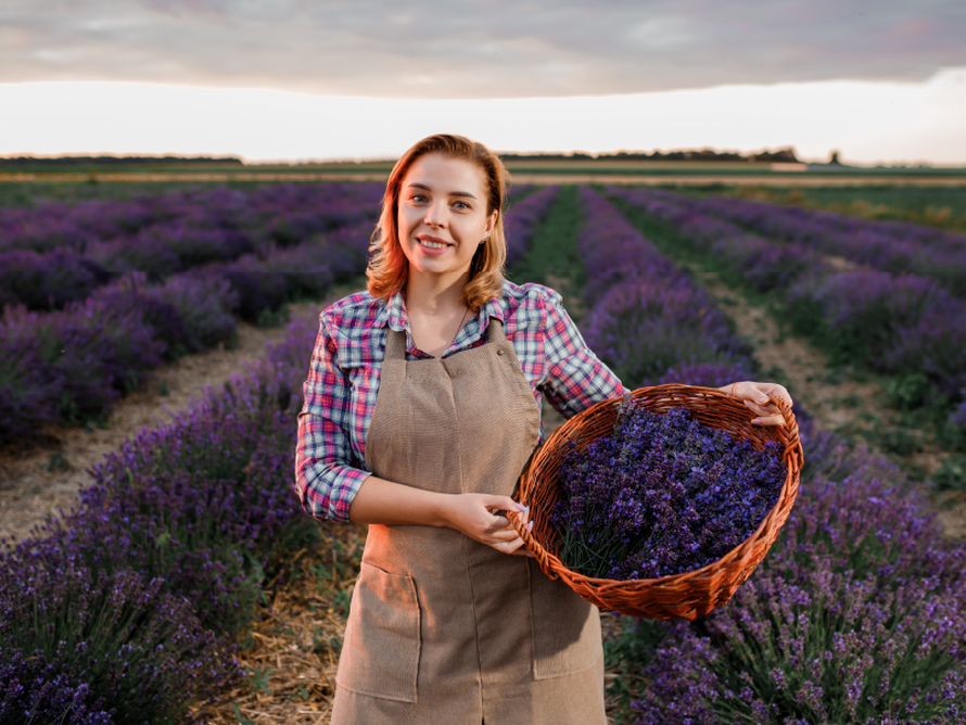 Zelena budućnost za poduzetnike i obrtnike: Prijavite se na E.ON PowerUP