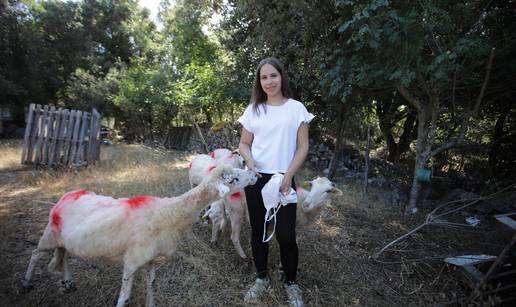 Rebeka (15) s Cresa je &ccaron;udo od djeteta! 'Uz nonu sam nau&ccaron;ila sve, a ovcu o&scaron;i&scaron;am za 5 minuta'
