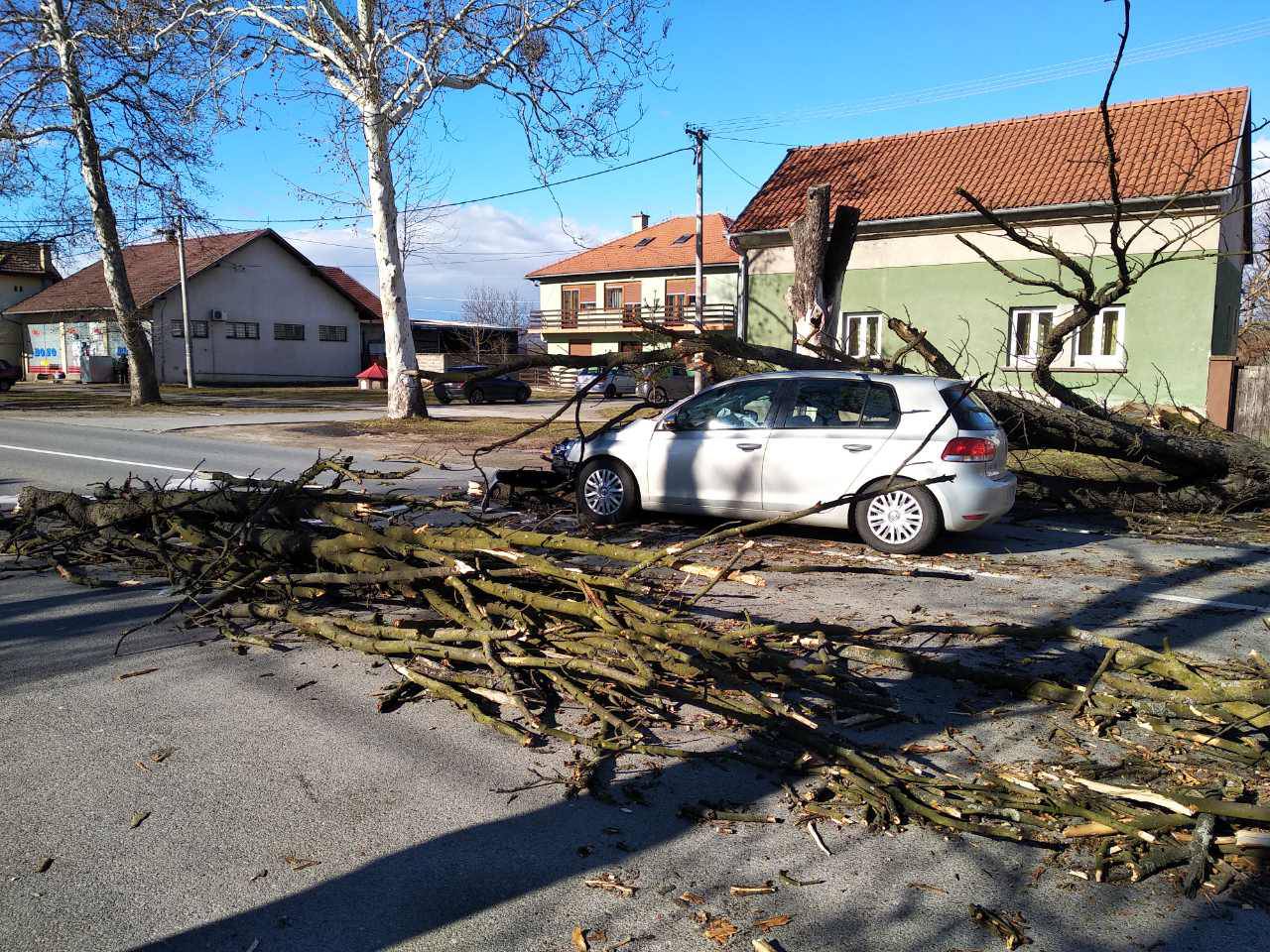 Užas u Trnjanima: Stablo palo na auto u vožnji i smrskalo ga!