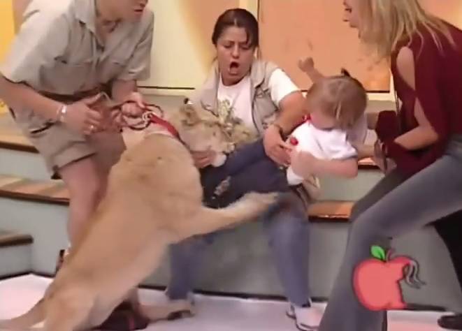 Uživo: Lavić napao bebu u TV showu, jedva su ga odvukli