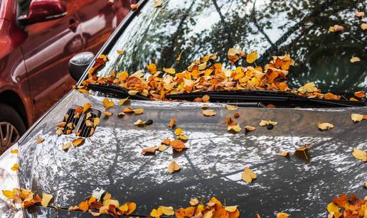 Ne mičete uvelo lišće s prozora na autu? Evo zašto biste trebali