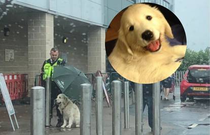 Hit fotka: 'Pa nikad ne znaš kako se psi osjećaju zbog kiše'