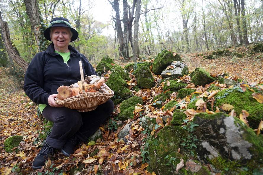 'Gljive mogu biti kobne. Spasila sam već najmanje 40 života... '