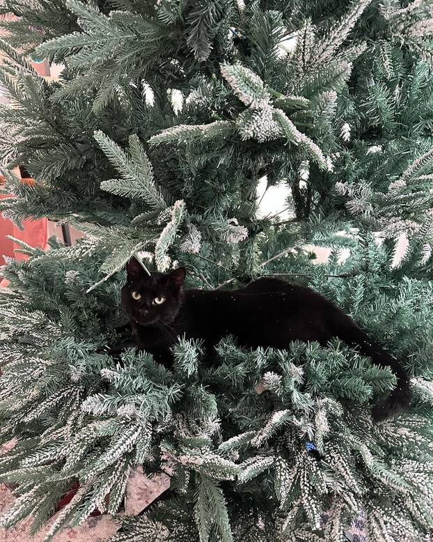 FOTO 'Imam toliko velike grudi da me svi mrze. Nisu umjetne!'