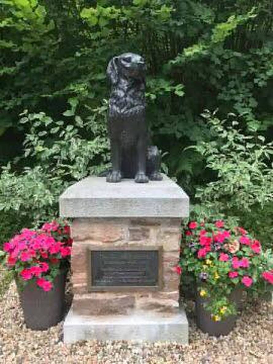 Tu su i hrvatski ljepotani: 361 zlatni retriver na okupu