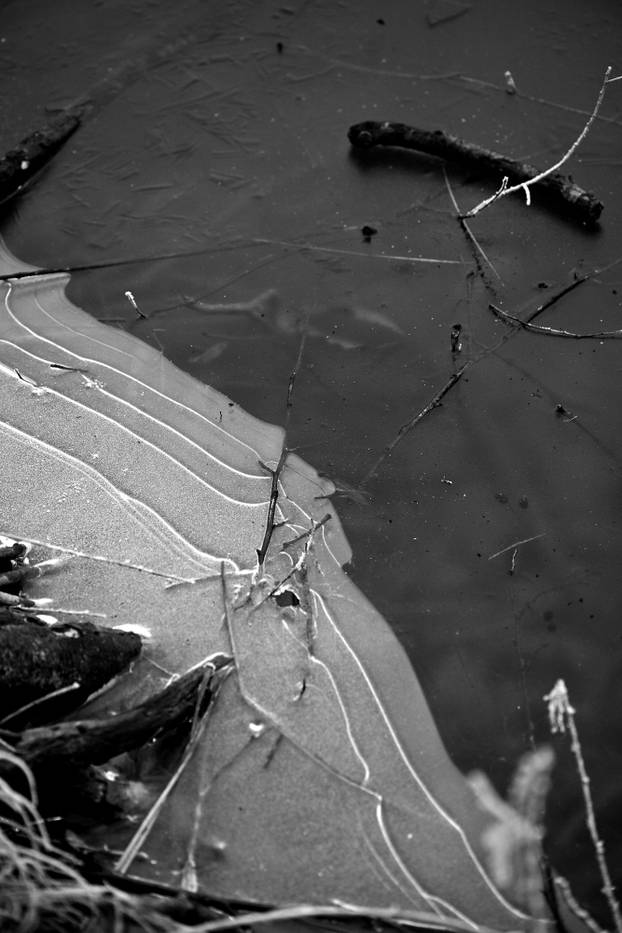 Zagreb: Gusta magla sakrila boje parka Maksimir