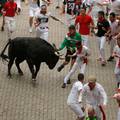 PETA daje 250.000 € Pamploni  ako zabrane utrke s bikovima