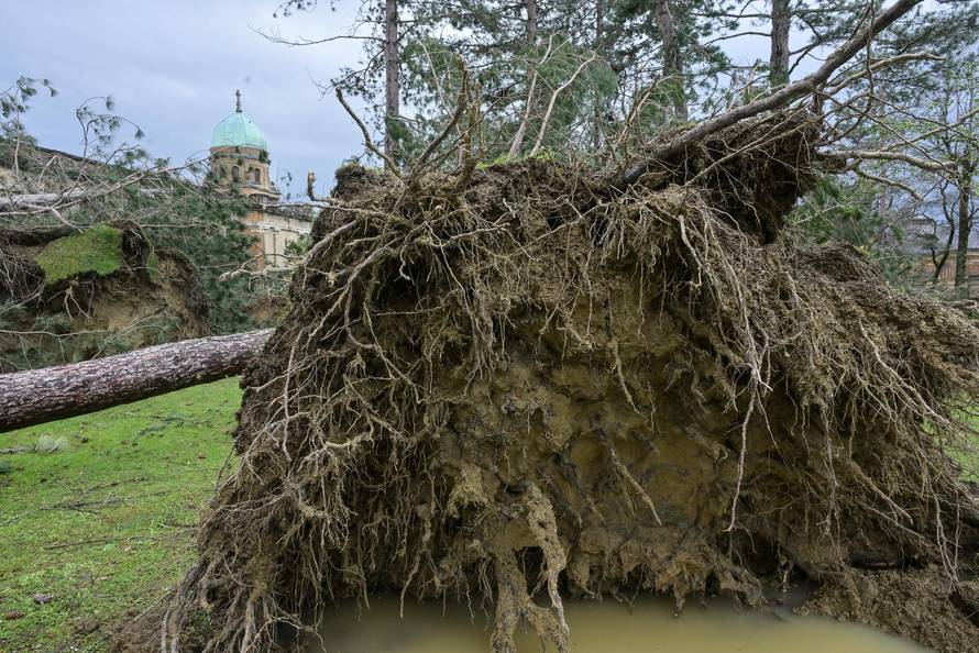 Zagreb: U nevremenu teško  oštećeno gradsko groblje Mirogoj