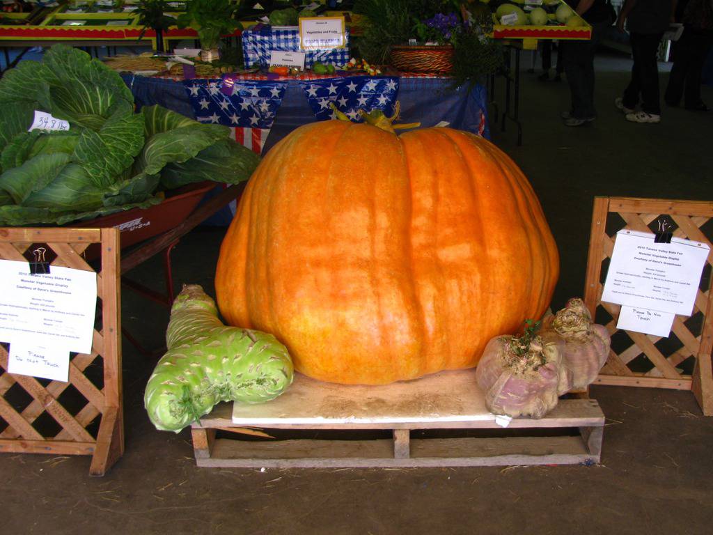 Halloween za kakav još niste čuli: Nekad se rezbarila repa...  