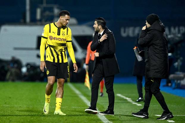 Susret Dinama i Borussije Dortmund u Ligi prvaka