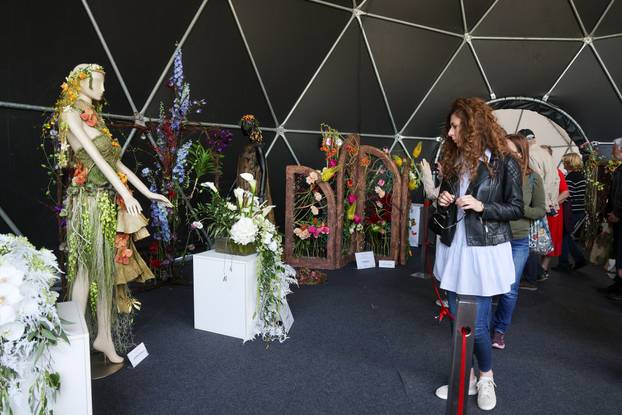 Zagreb: Sunce obasjalo Flora Art