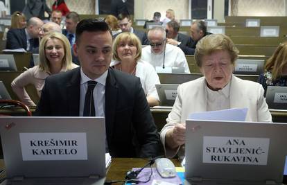 Strateško partnerstvo: Zagreb i Vlada  za spas Imunološkog
