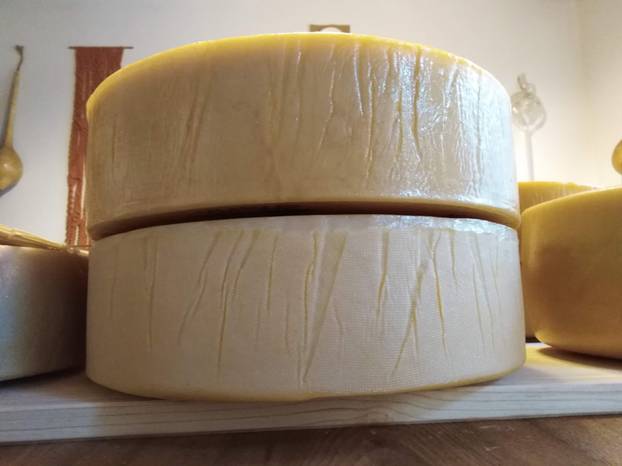 Ovo je lista 14 najboljih sireva na svijetu: Znate li koji je prvi?