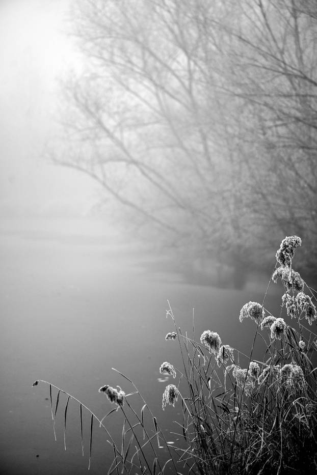 Zagreb: Gusta magla sakrila boje parka Maksimir