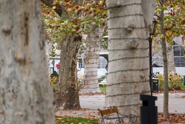 Zagreb: Zasvjetlile prve adventske lampice u parku Zrinjevac