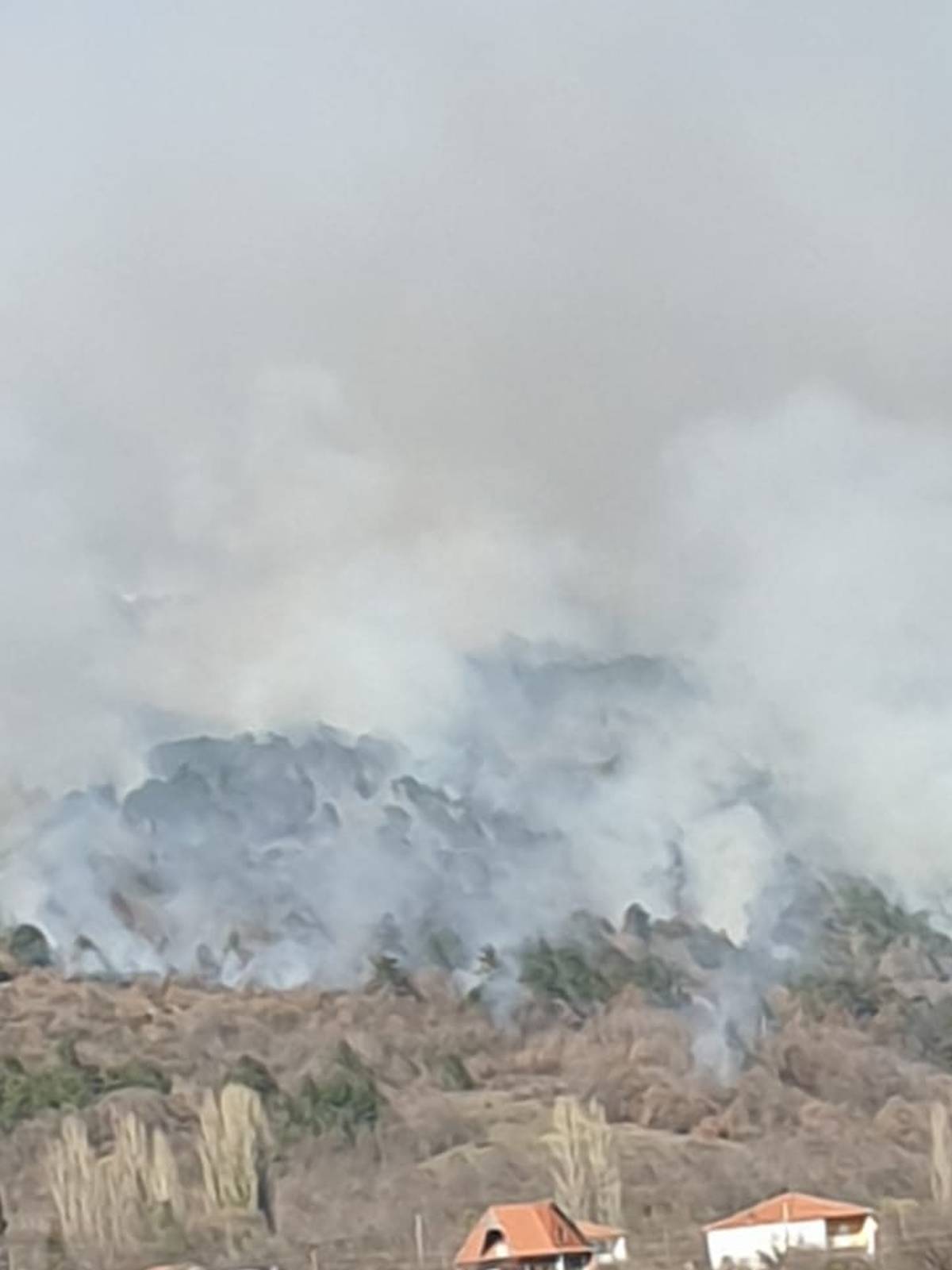 Sinj: Planula je gusta borova šuma, dim se proširio posvuda