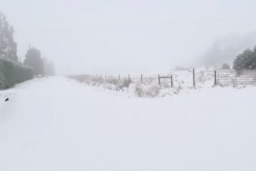 Snijeg u Novom Zelandu