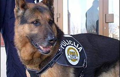 Policijski pas nanjušio 'suvenire' iz Amsterdama
