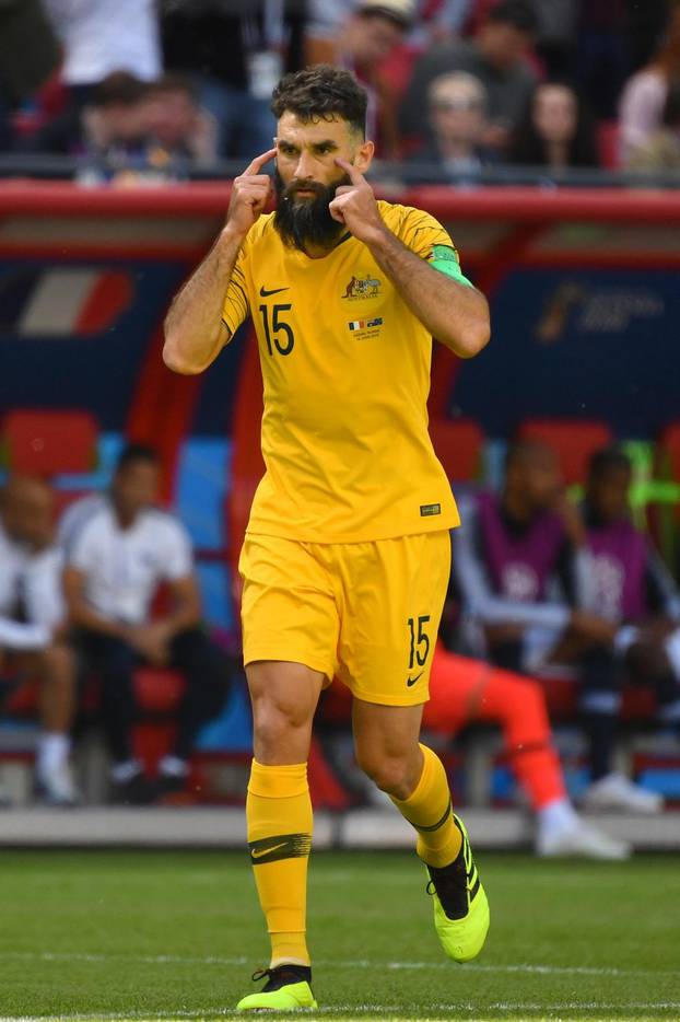 FIFA World Cup 2018 / Preliminary Round / France-Australia 2-1