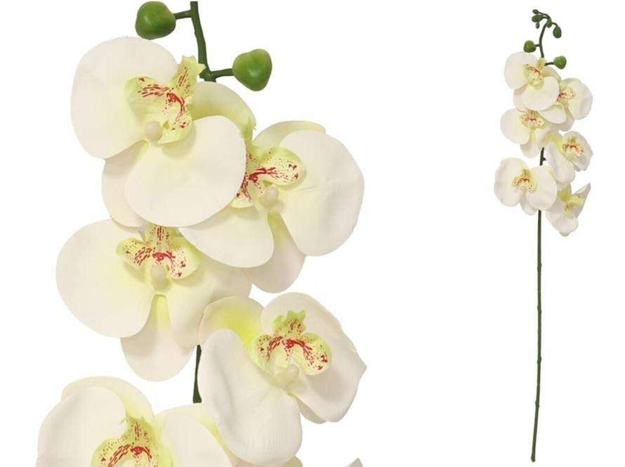 Umjetno cvijeće koje izgleda kao pravo: ideje, trikovi i pametan odabir