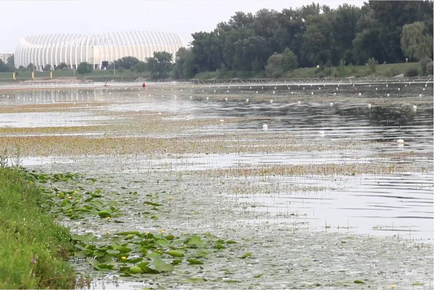 Muljevito Jarunsko jezero