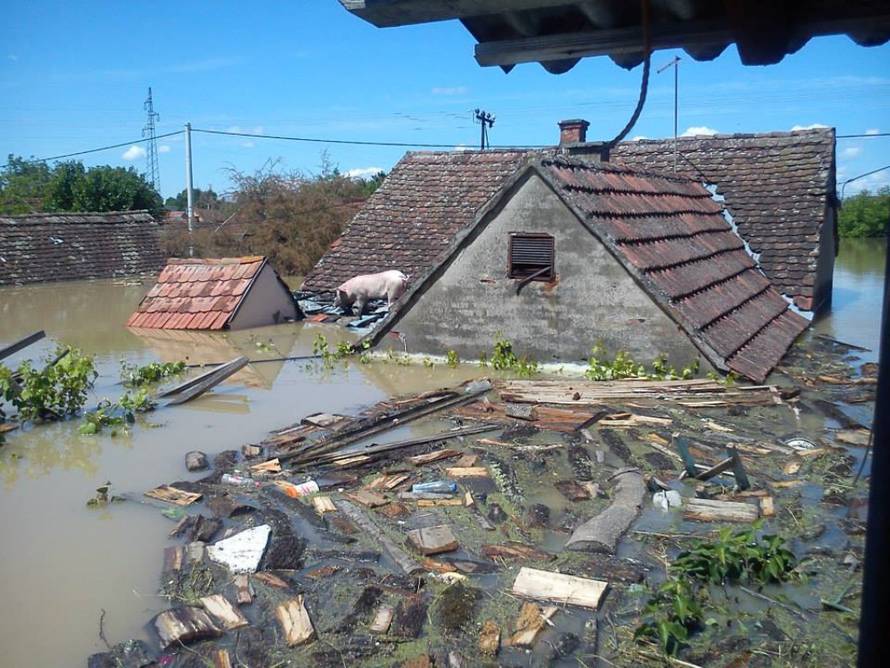 Snimio čitatelj