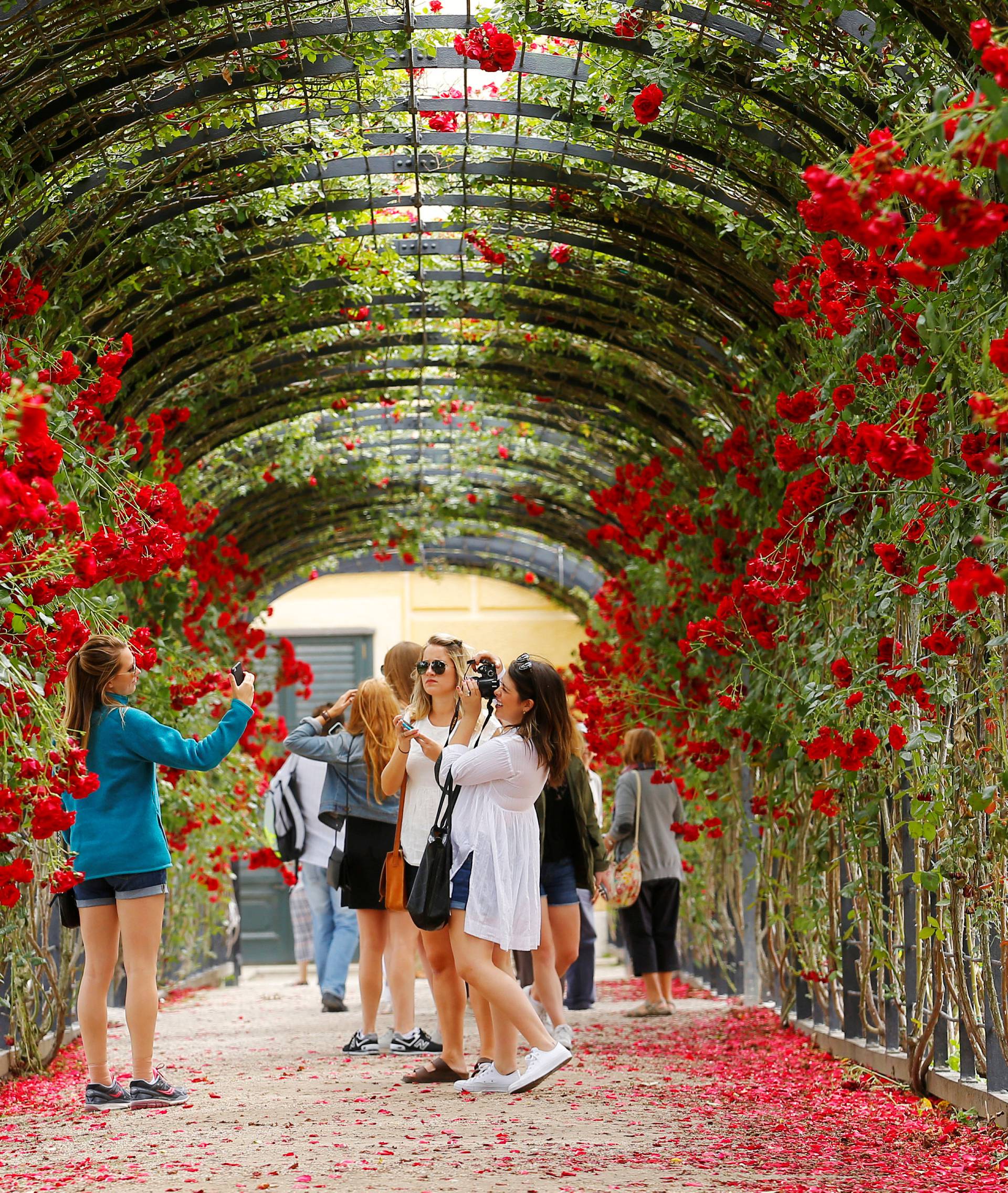 Tourists pose for photographs at the rose tunnel in the park of Schoenbrun palace in Vienna
