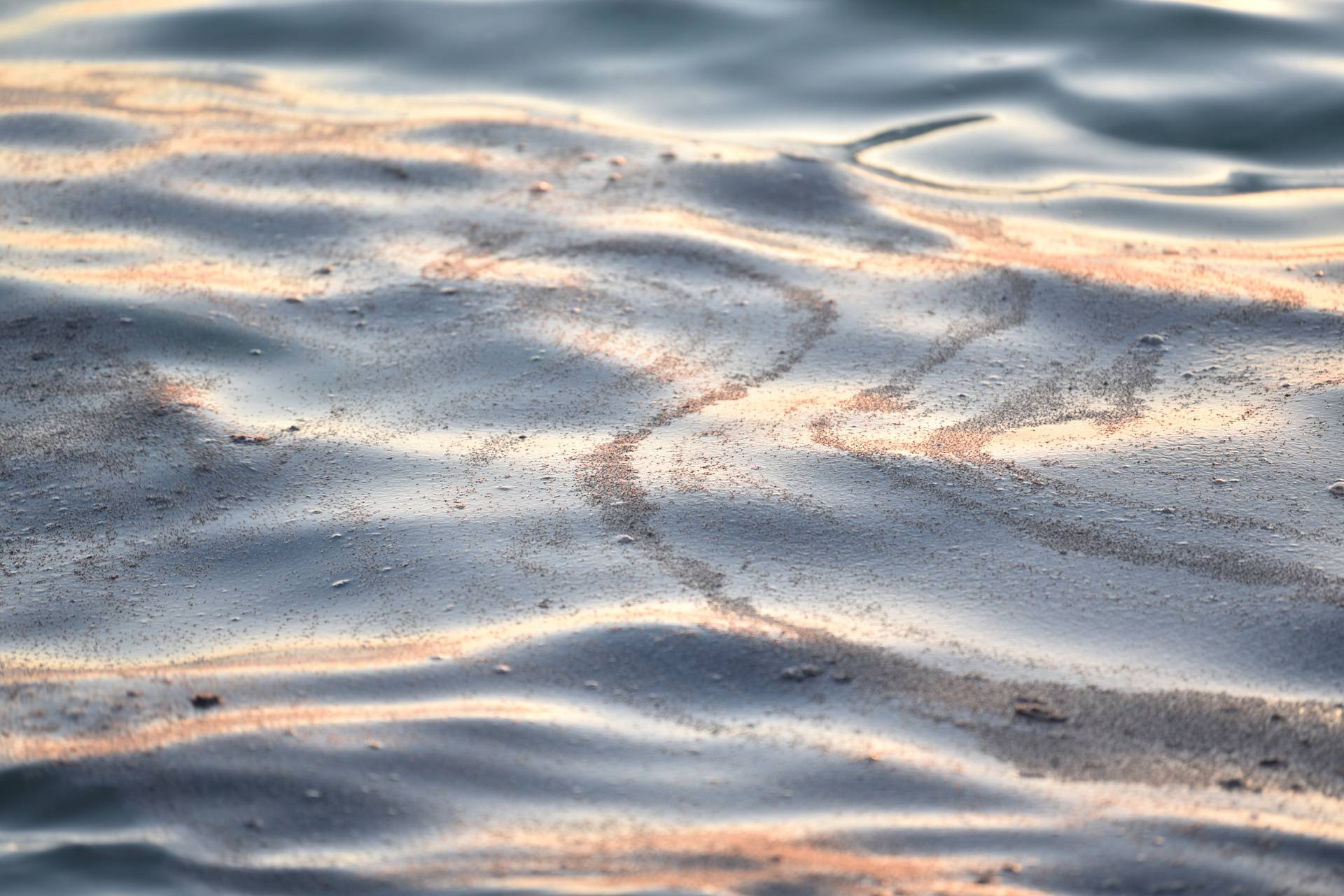 Mušice preplavile more na plaži Donja Luka u Makarskoj