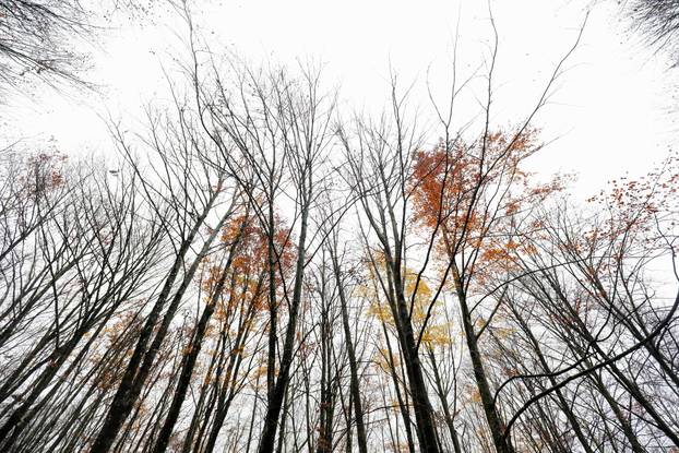 Vodice: Jesenja mističnost Ćićarije