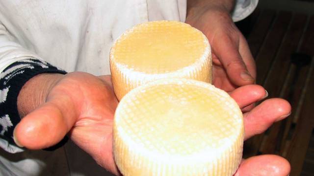 U Dalmaciji su pronašli tragove najstarijeg svjetskog sira...