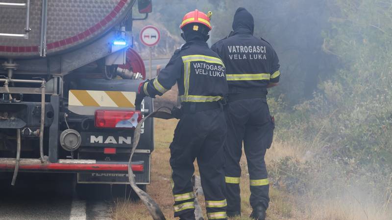 Požar na Korčuli stavljen pod kontrolu. Stradali su vinogradi i maslinici, vatra prijetila kućama
