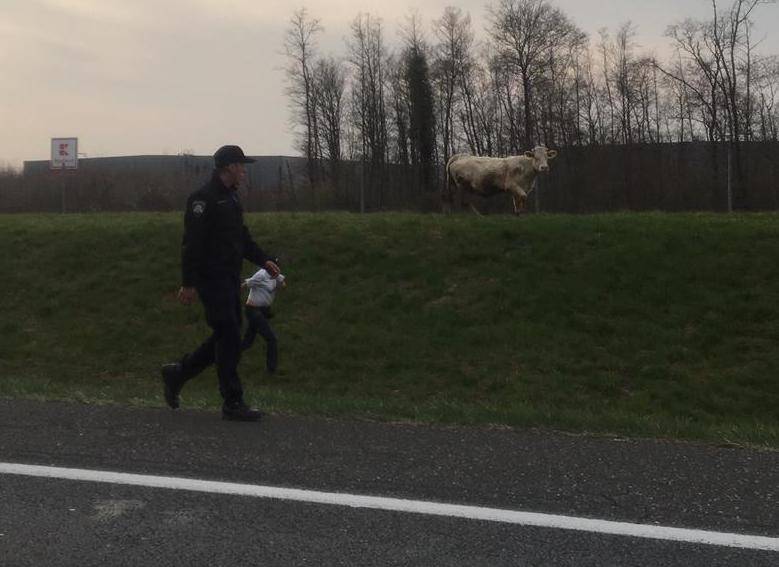 Stani kravo, policija! Milka i Danica bježale su im satima