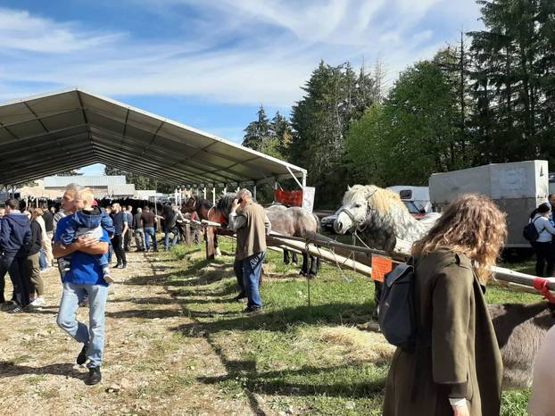 Veselo u srcu Like: Od slanine, finih ličkih palačinki i rakije do revije konjskih zaprega