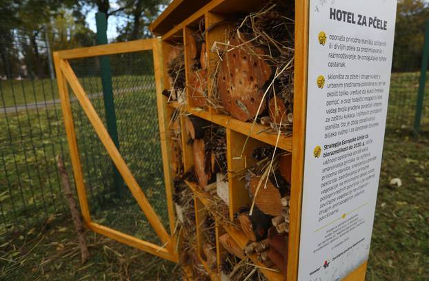 Postavljen je prvi karlovački hotel za pčele koji su izradili učenici Šumarske škole