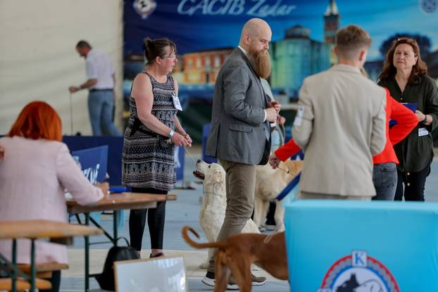 Zaton: Međunarodna izložba pasa pod nazivom CACIB Zadar 2025