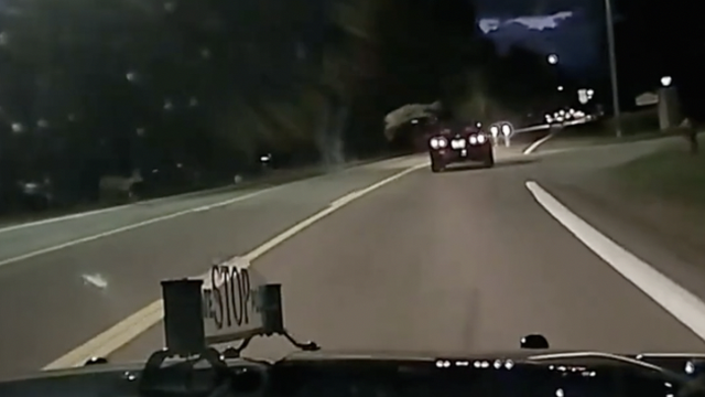 Nevjerojatan prizor: Jelen preskočio automobil na brzoj cesti
