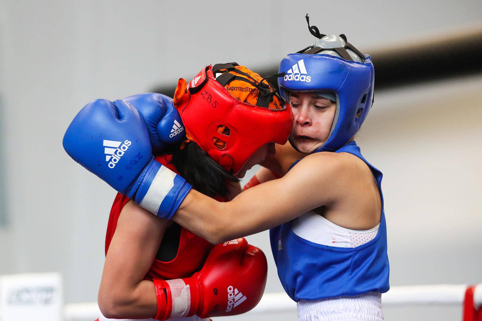 10. Zagreb Open u organizaciji Zagrebačkog boksačkog saveza