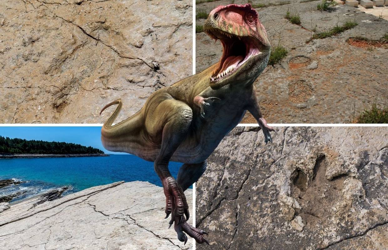 Živjeli su prije 150 mil. godina i ostavili svoje otiske po Istri: 'I pod morem smo im našli kosti'