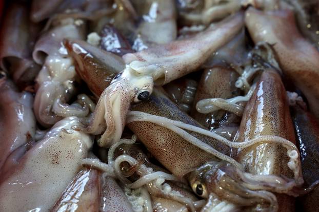 Šibenik: Ponuda ribe na šibenskoj ribarnici