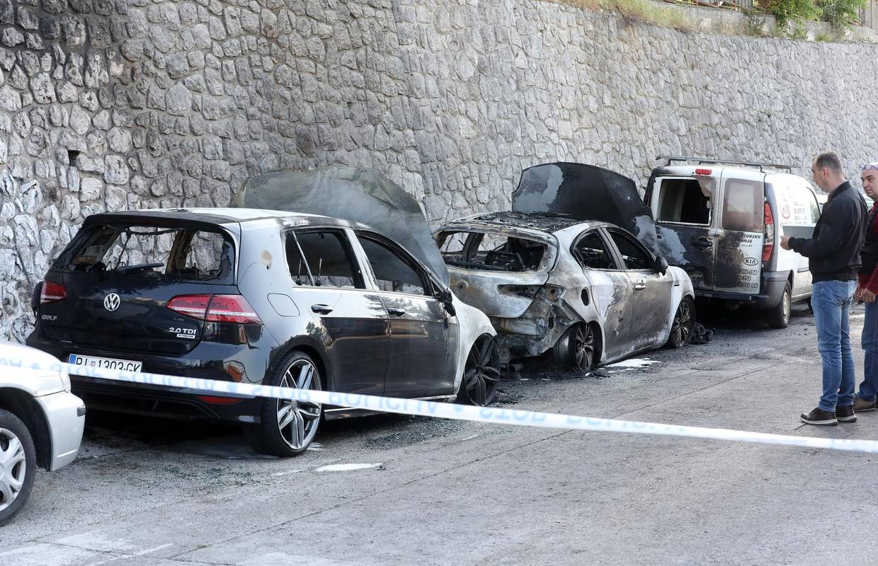 Županijski vijećnik Leo Pavela: Rastočine gore, a policija šuti