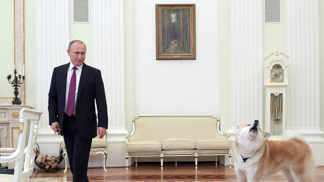 Russian President Putin enters a hall with his dog Yume before giving interview to Japanese Nippon Television and Yomiuri newspaper at Kremlin in Moscow