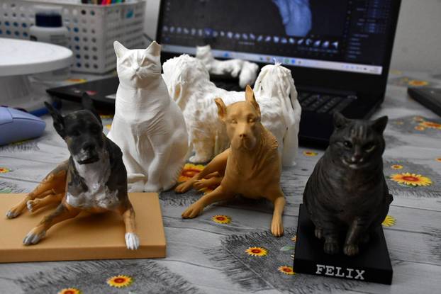 24SATA Slavonski Brod: Sandra Julari&cacute; pretvorila je hobi u biznis izra&dstrok;uju&cacute;i 3D figure ku&cacute;nih ljubimaca