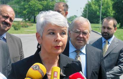 Kosor bi sazvala VNS odmah, Ivo Josipović: To nije parada
