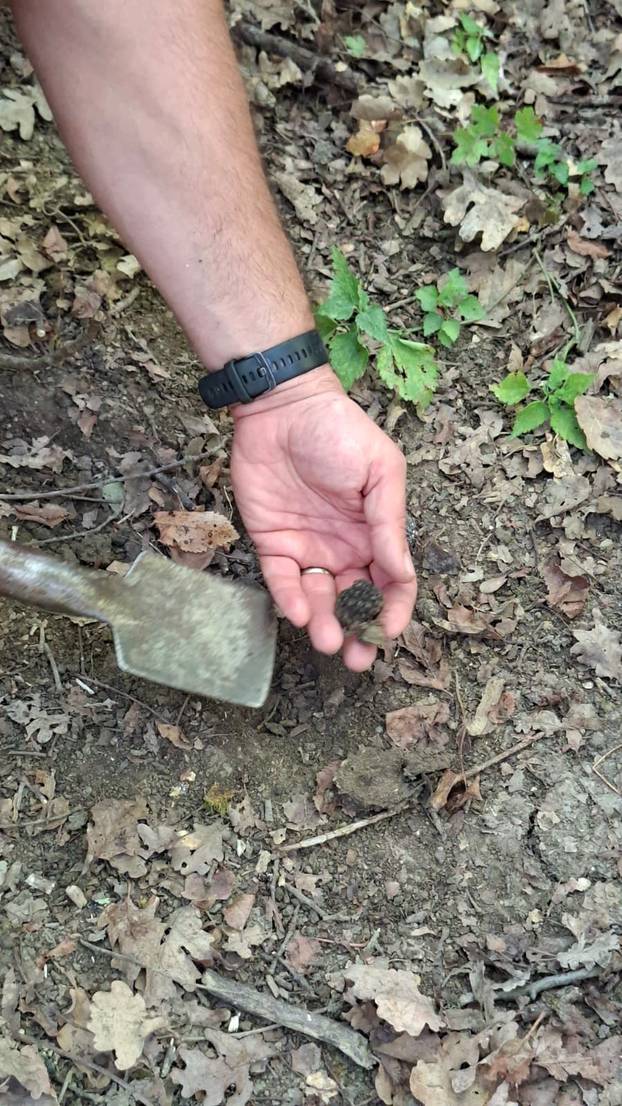 FOTO Pogledajte kako izgleda lov na tartufe u istarskoj šumi