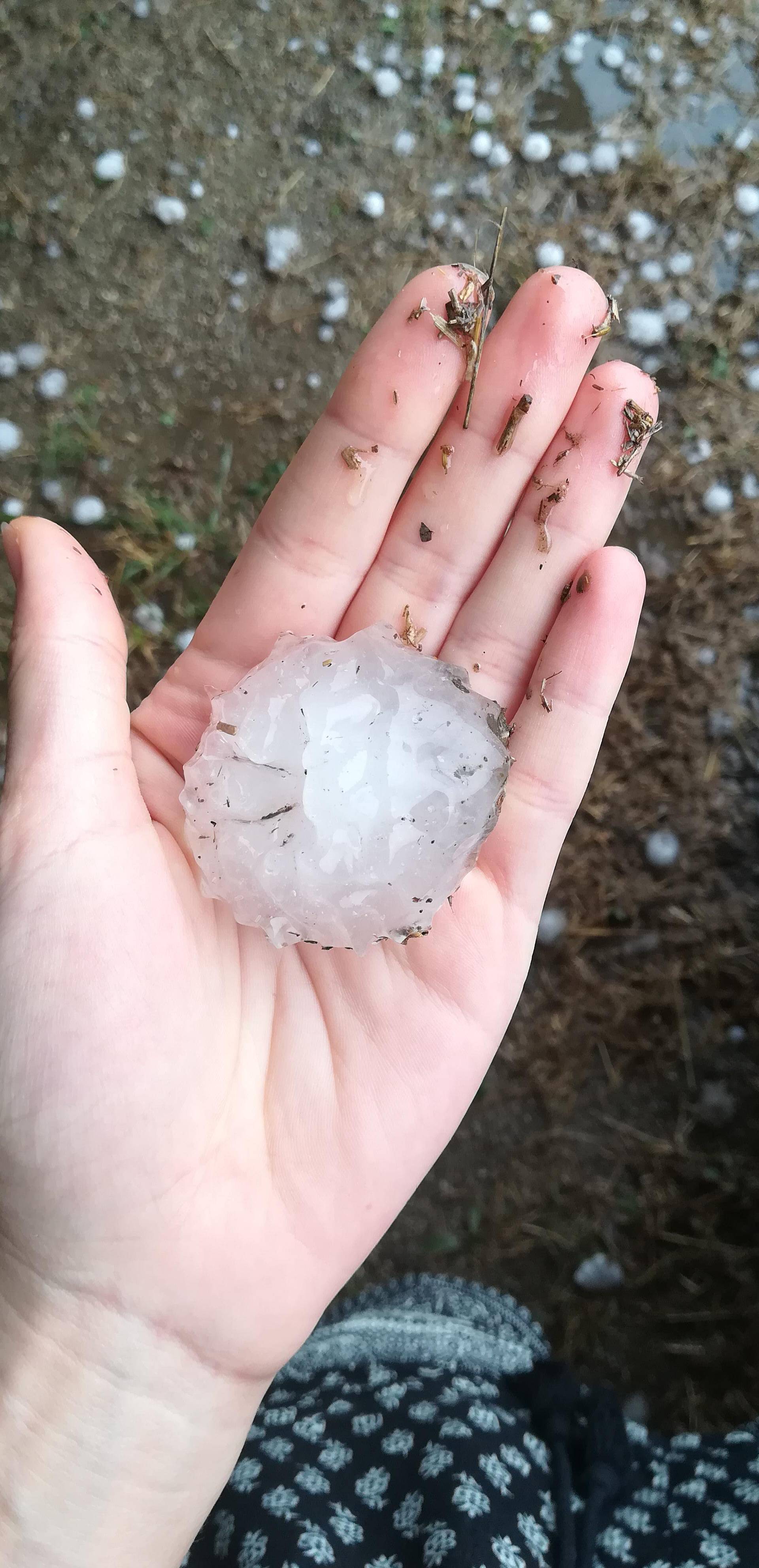 Vjetar srušio drvo, tuča oštetila aute: 'Mogla je nekoga ubiti!'