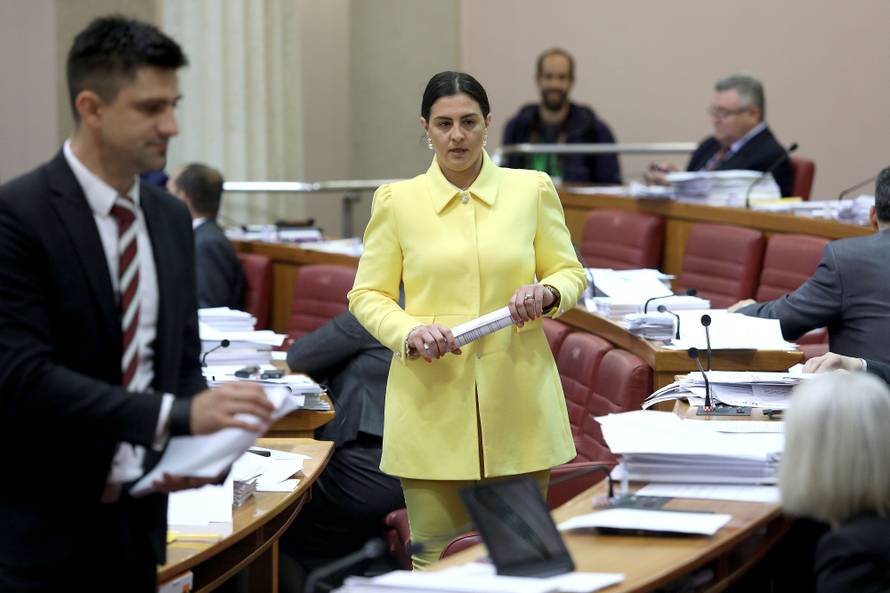 Zastupnice sa stilom: One su unijele boje i živost u Sabor