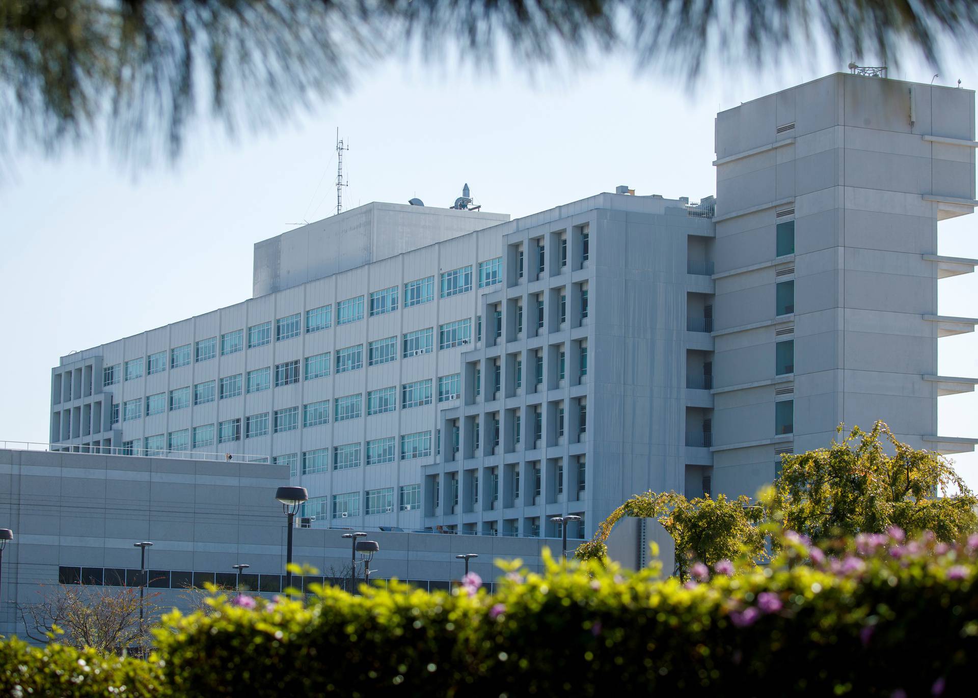 General view of Harbor-UCLA medical Center in Torrance, California