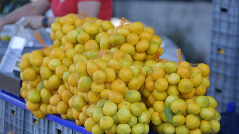 VIDEO Stigle su mandarine! U Šibeniku ih već možete kupiti, evo koliko stoji kilogram