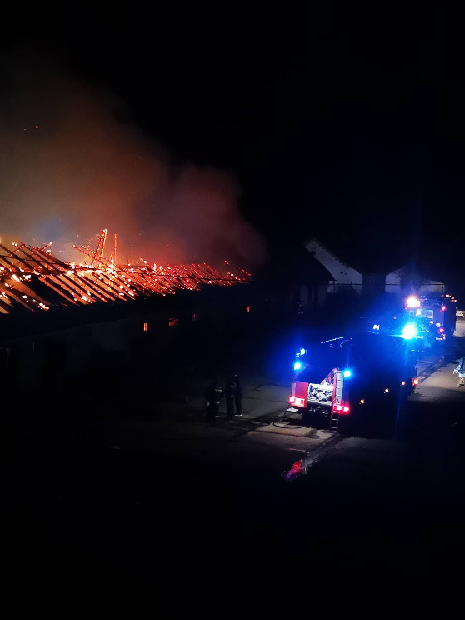 Borba s buktinjom: Planula je radionica Belja kod Grabovca