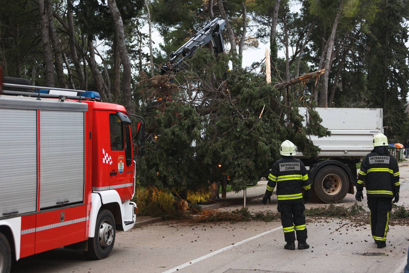 Zadar: Orkansko jugo oborilo stablo i elektricni stup